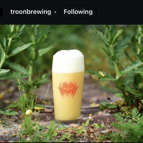 Troon Brewing: Don’t Think Too Hard 7.8%