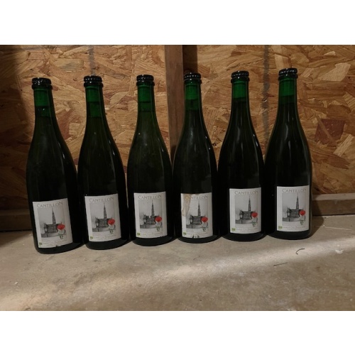 Lot of 6 Cantillon Grand Cru Bruocsella