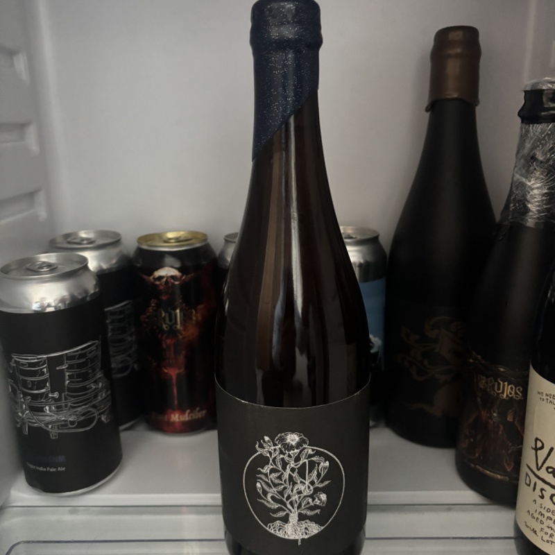 Freak Folk Signet Gin (Tom Cat Gin BA)