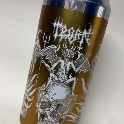 TROON FUN WHILE IT LASTED HOPPY ALE