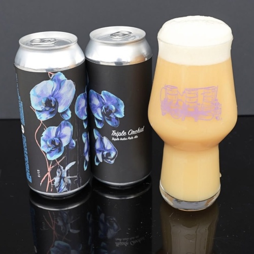 Fidens Triple Orchid