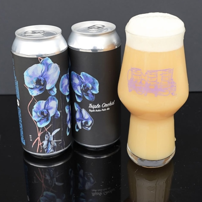 Fidens Triple Orchid