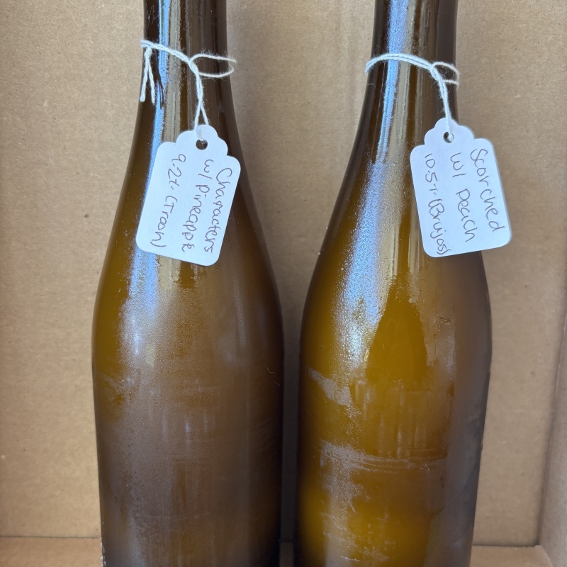 Fidens anniversary 500ml growler 2 pack