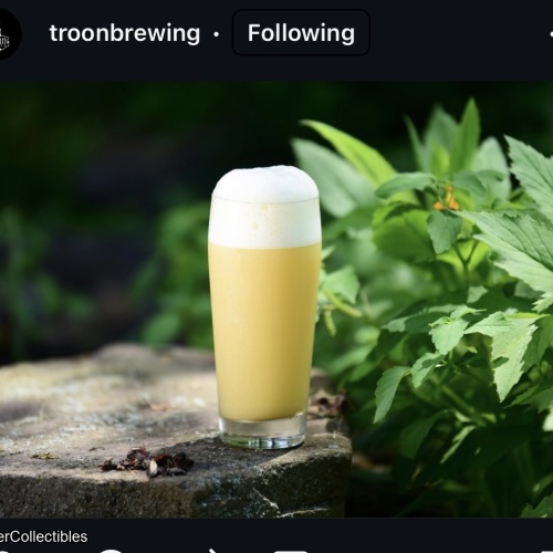 Troon Brewing: Fortune Of The Bold 7.7% Hoppy Ale