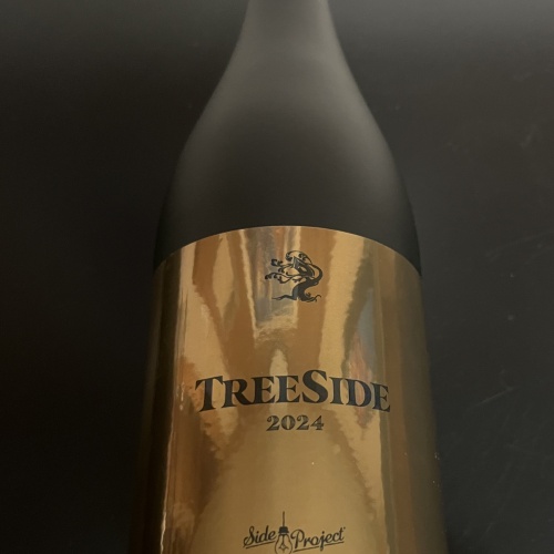 Treehouse / Side Project Treeside