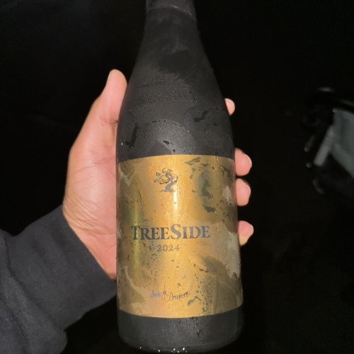 TreeSide - Treehouse x Side Project