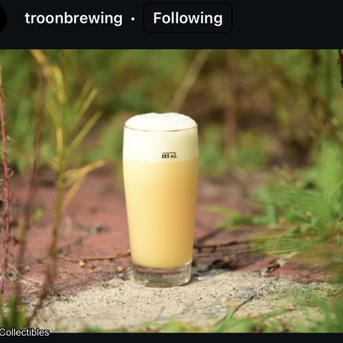 Troon Brewing: Remain Sad Forever 8.7% Hoppy Ale