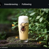 Troon Brewing: A Shapeless Entity 8.9% Hoppy Ale