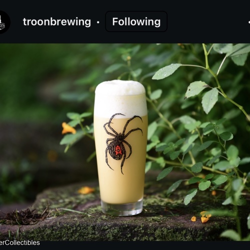 Troon Brewing: A Shapeless Entity 8.9% Hoppy Ale