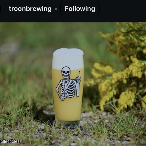 Troon Brewing: Adult Supervision 9.4% Hoppy Ale with Mango