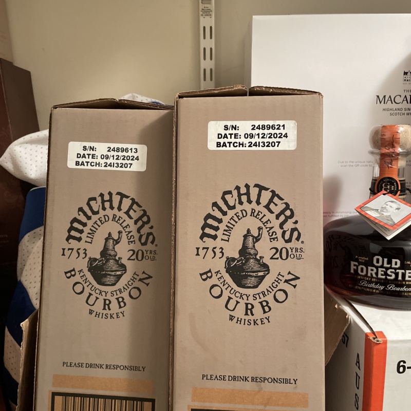Michters 20