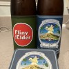Pliny the younger