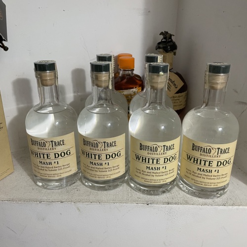 White Dog