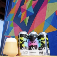 Fidens Triple Vibrant Beauty