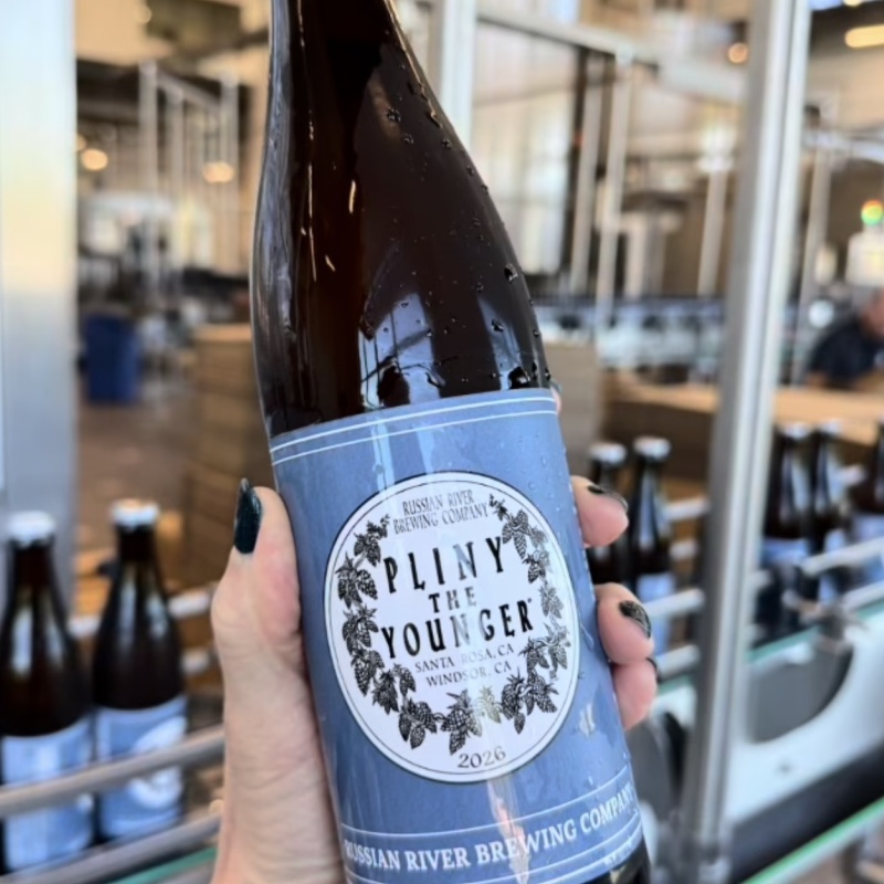 Pliny the younger 2026