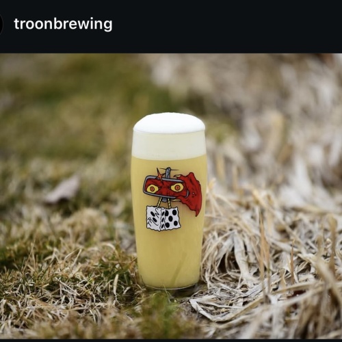 Troon Brewing (2) I Can See The Future 9.2% Hoppy Ale