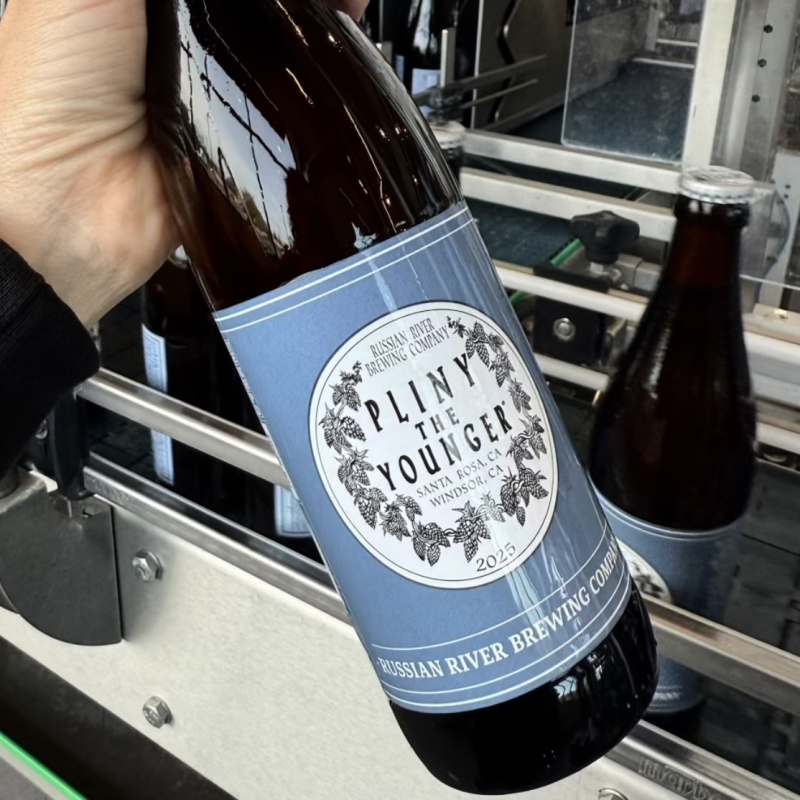 NEW 2025 Pliny the Younger