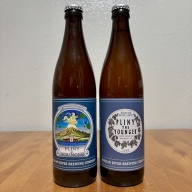NEW 2045 & 2025 Pliny the Younger