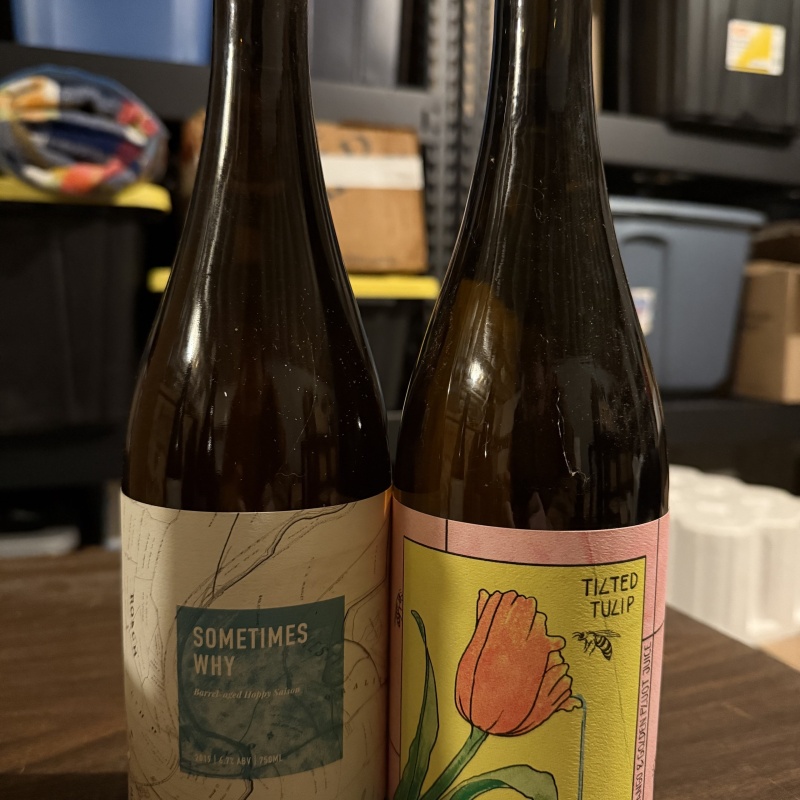 Sante Adairius 2 Pack - Sometimes Why & Tilted Tulip