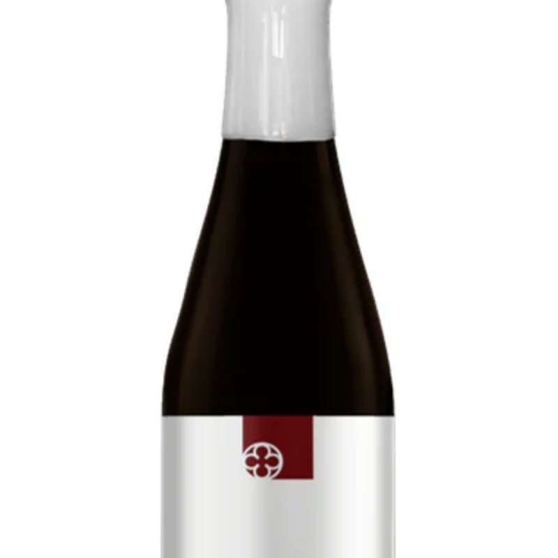 Ancient Future (2024)