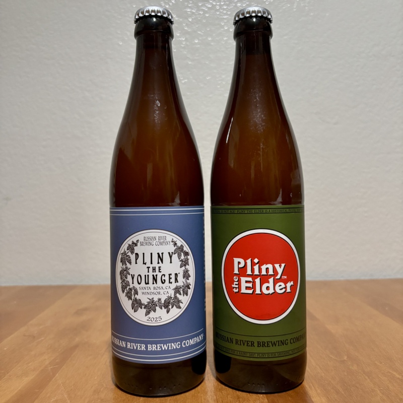 NEW 2025 Pliny the Younger & Elder
