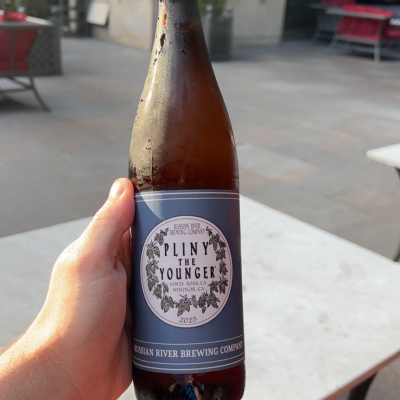 2025 Pliny the Younger