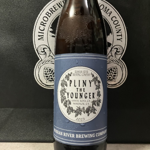 Pliny the Younger