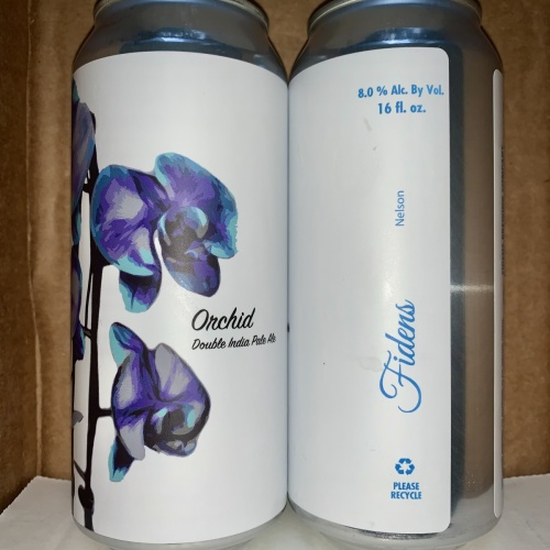 2x Fidens Orchid