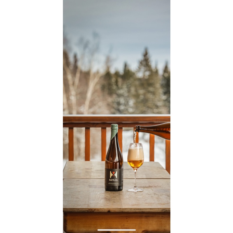 Hill Farmstead Samuel (batch 6)