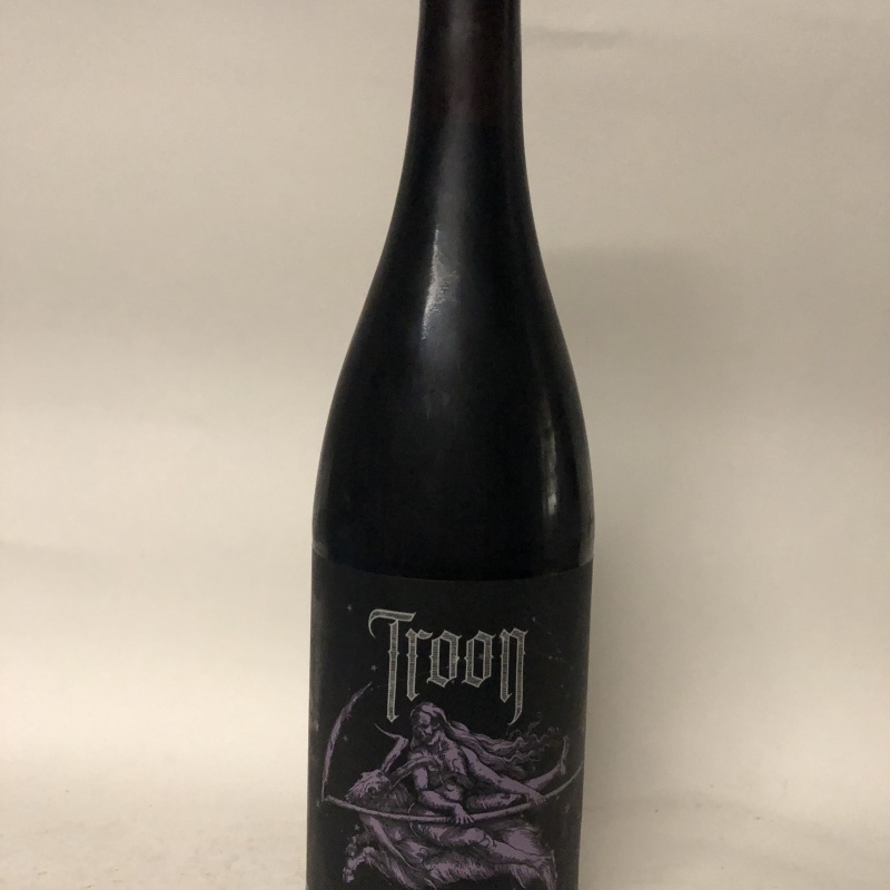 TROON STARGATE SEQUENCE STOUT COLLAB