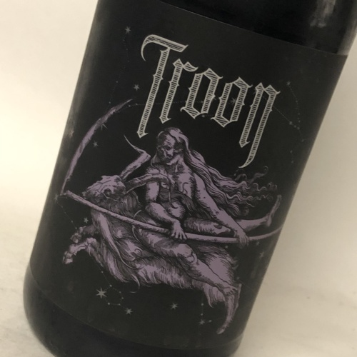 TROON STARGATE SEQUENCE STOUT COLLAB