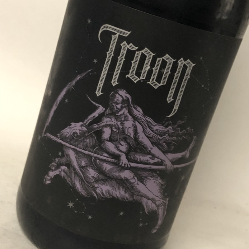 TROON STARGATE SEQUENCE STOUT COLLAB