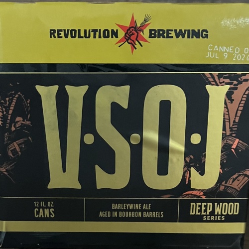 Revolution VSOJ 2024