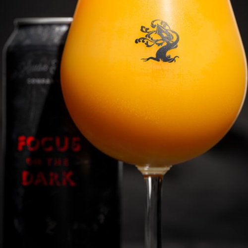 Tree House Brewing: 2 cans of Focus on the Dark. Quadruple IPA. Brewed fresh and cold on 2/10/26.