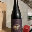 7 Days Only - SARA Another Alliteration B1 (2015)