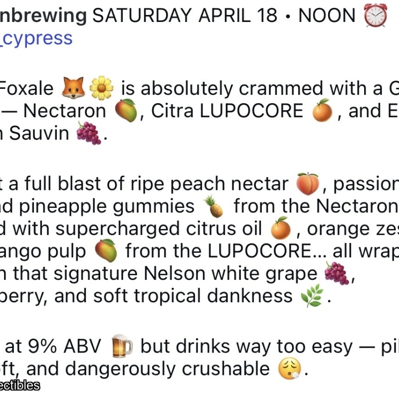 Shelton Daisy Foxale