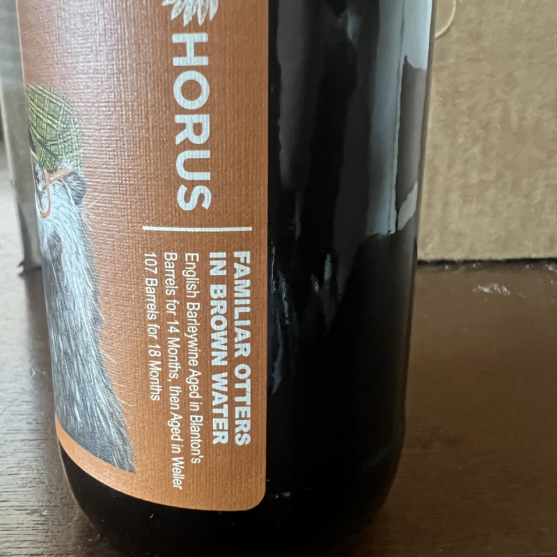 Horus  - Familiar Otters in Brown Water