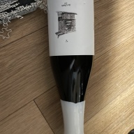 Phase Three Arches 2024