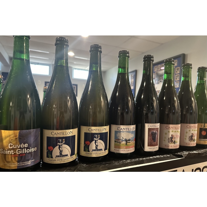 HUGE LAMBIC & SOUR LOT OF 50 BOTTLES 2009-2021 CANTILLON, 3F++