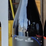 Side Project 2025 DM