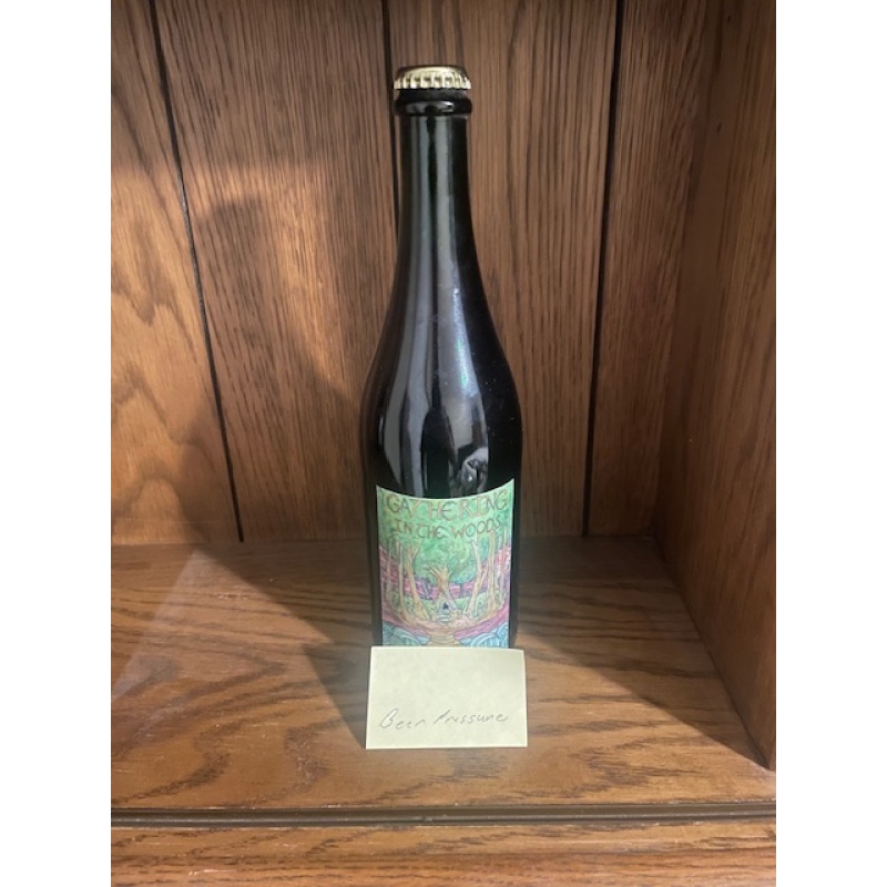 Forager Gathering in the woods