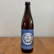 NEW 2026 Pliny the Younger