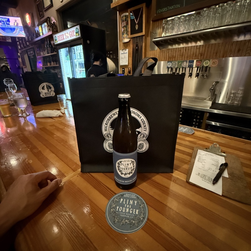 Pliny The Younger
