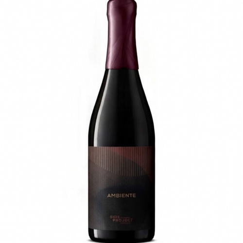 Side Project 2025 BA Ambiente