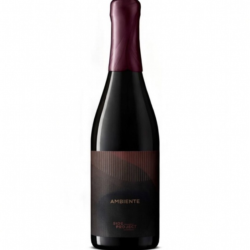 Side Project 2025 BA Ambiente