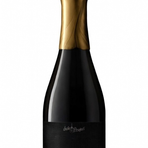 Side Project 2025 Double barrel Anabasis