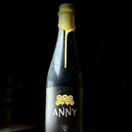 Dimensional Anny (2025)