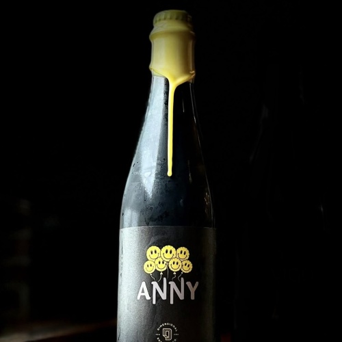 Dimensional Anny (2025)