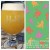 J Wakefield & Other Half collab 4 Pack Jiu Jitsu Juice NE IPA FRESH!