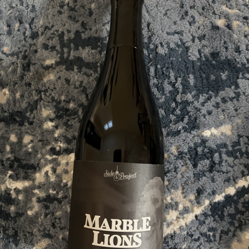 Side Project Marble Lions
